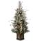 4ft. Pre-Lit Snowy Bedford Pine Entrance Artificial Christmas Tree, Clear Lights
